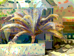 Composition 1